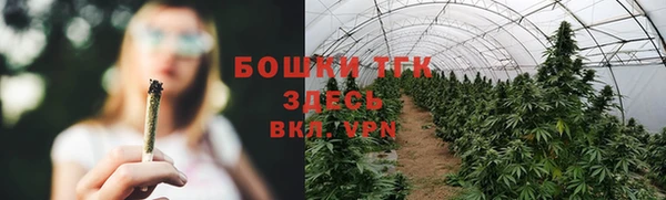 a pvp Тавда