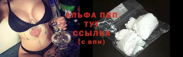 a pvp Тавда