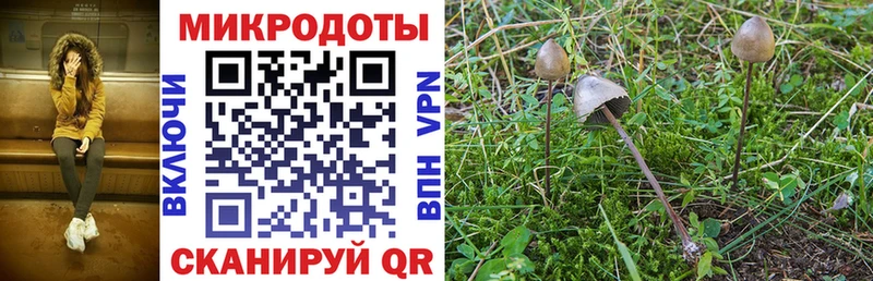 Псилоцибиновые грибы ЛСД Воронеж